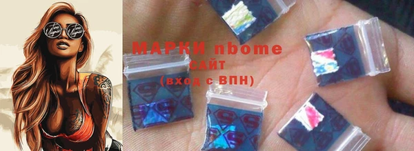 прущий лед Инсар