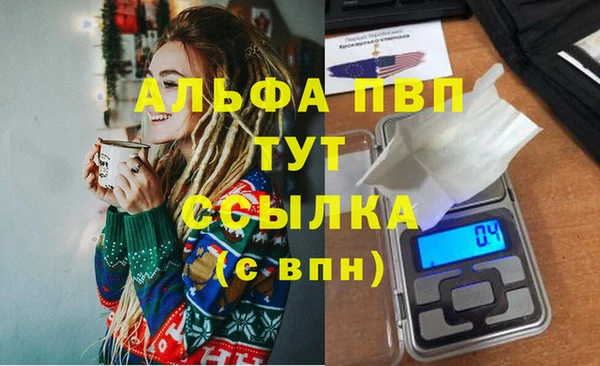 ПСИЛОЦИБИНОВЫЕ ГРИБЫ Иннополис