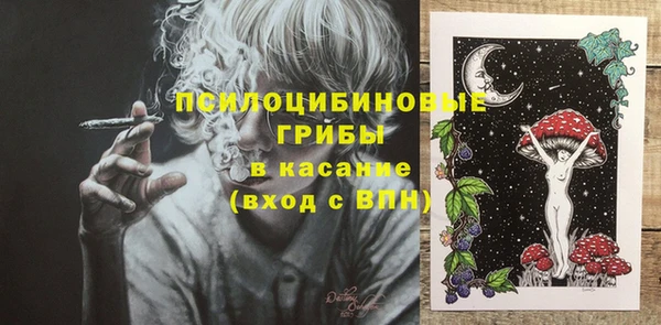 прущий лед Инсар